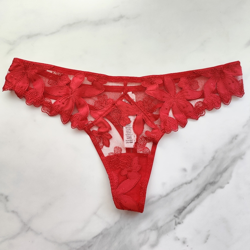 NWT VICTORIA'S SECRET VERY SEXY ZIGGY GLAM MESH FLORAL EMBROIDERED THONG PANTY M